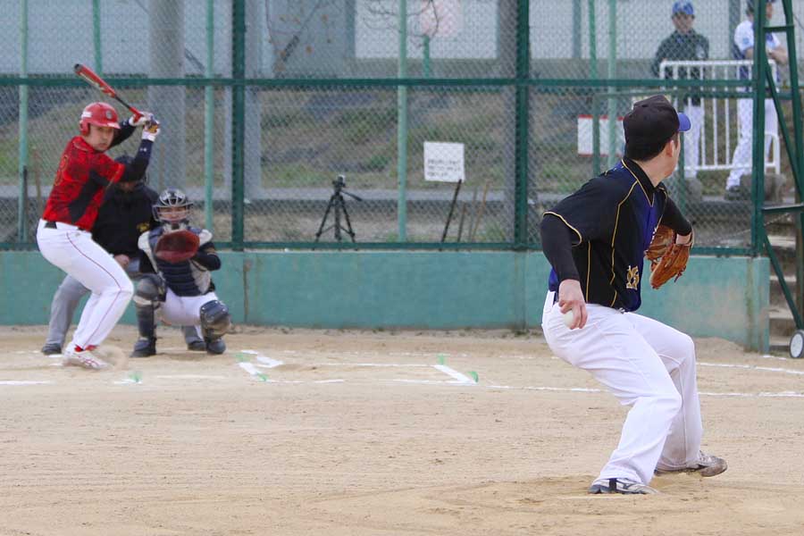 葵草野球写真