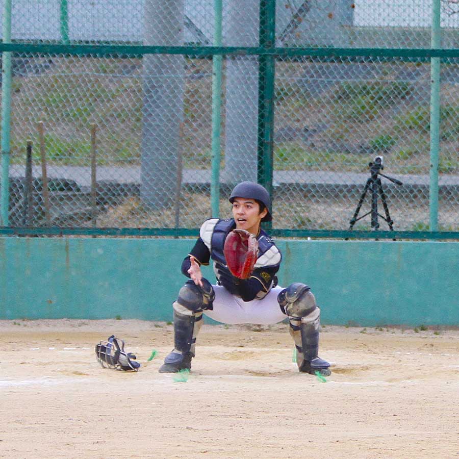 葵草野球写真