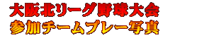 大阪北リーグ野球大会プレー写真集